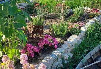 Mustapic has Balcony rooms