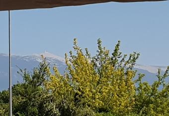 Pura vida allows 18 year olds to book a room