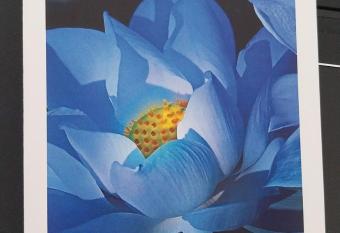                                                  allows 18 year olds to book a room