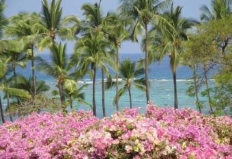 Beach Villas at Kahalu u has rooms with a private hot tub