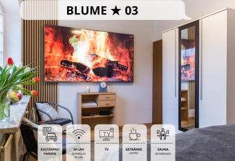 Blumenvilla 3 mit Sauna, Garten has Balcony rooms