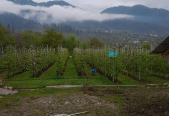 Brengi Organic Farm & Resorts has Balcony rooms