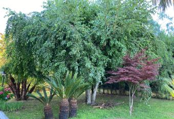 B&B Michela has rooms with a private hot tub