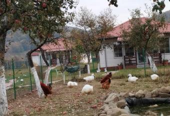 Desculti prin iarba- la 6,6 km de centrul Piatra Neamt has Balcony rooms