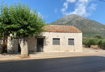 Traditional home in olive garden has Balcony rooms