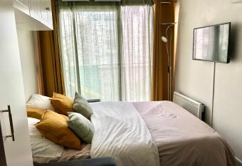Studio Cosy    Puteaux La D  fense allows 18 year olds to book a room