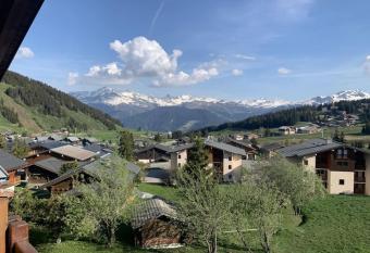 Duplex 3 pi  ces, 33m2,orient   SUD vue panoramique has Balcony rooms