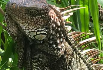 La Palapa Hut Nature Hostel allows 18 year olds to book a room