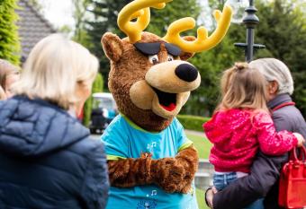 Nice chalet with outdoor sauna and spa, in a holiday park, close to De Veluwe has rooms with a private hot tub