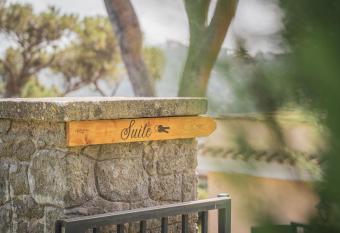 Suite cinque stelle con Jacuzzi a Castel Gandolfo allows 18 year olds to book a room