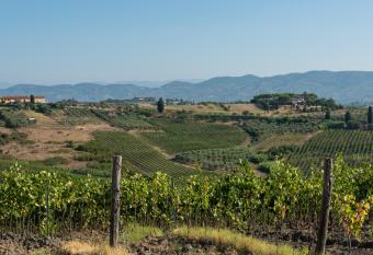 Girasole Apartment has Balcony rooms