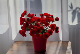 The Black Cat allows 18 year olds to book a room