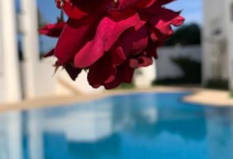 petit studio mignon pour passer les vacance a Marina Golf has Balcony rooms