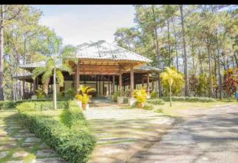 Villa Don Dario has Balcony rooms