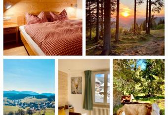 G  stehaus Steiert Fewo Kuhbergblick has Balcony rooms