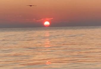 Tor  i Guesthouse has Balcony rooms