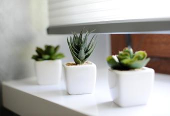 Feel Good Penthouse With Jacuzzi has rooms with a private hot tub