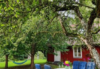 Stuga i natursk  na mittsk  ne allows 18 year olds to book a room