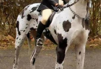 Unlisted has rooms with a private hot tub