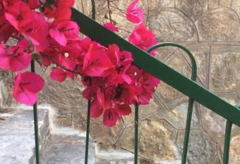 Villa Panoramica has Balcony rooms