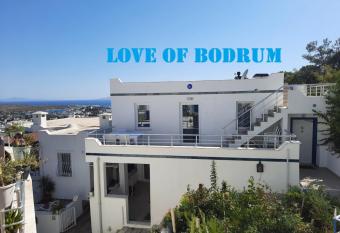 Love of Bodrum House allows 18 year olds to book a room