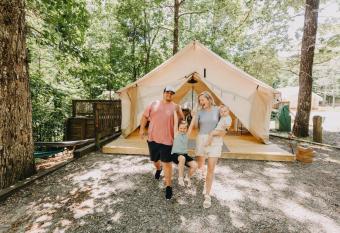 Timberline Glamping at Amicalola Falls has Balcony rooms