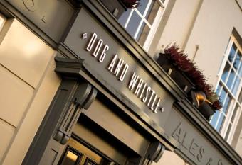 Dog and Whistle Pub allows 18 year olds to book a room