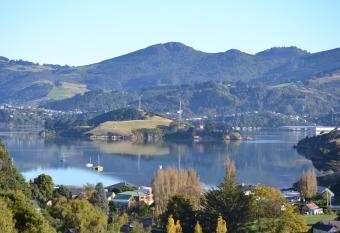 Treetops B&B allows 18 year olds to book a room