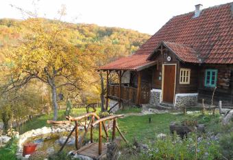 Apartment Cerova Kosa allows 18 year olds to book a room