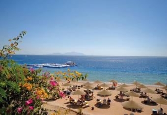 Domina Dream allows 18 year olds to book a room