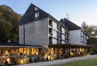 Hotel Luisenpark allows 18 year olds to book a room