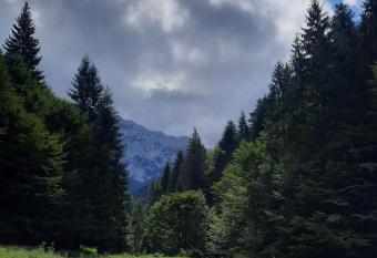 Apartament 804- Etaj 8 in incinta Alpin Resort - gazda privata has rooms with a private hot tub