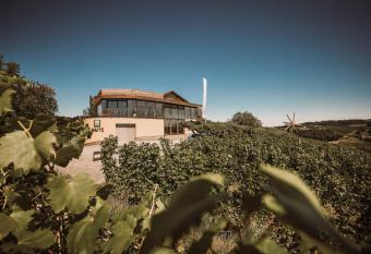 Weinhotel Maitz Wolfgang has Balcony rooms