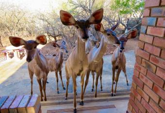 Esa Nui Sanctuary allows 18 year olds to book a room