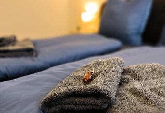 Best Bodensee FeWo has Balcony rooms