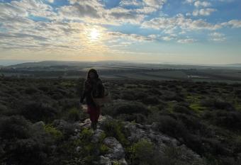                       -        68 has Balcony rooms