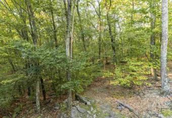 The Cabin at Paradise Lake has rooms with a private hot tub