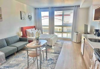 Charming and Modern Downtown Tacoma Apartment with Queen size bed and futon sofa bed, Free Netflix allows 18 year olds to book a room