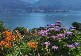 Villa Om-nia Town has Balcony rooms