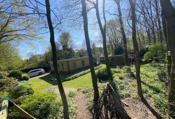 Bosbungalow Appelscha has Balcony rooms