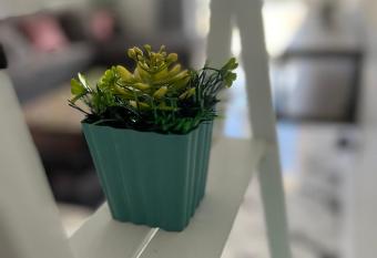 Mostafa kamel building allows 18 year olds to book a room