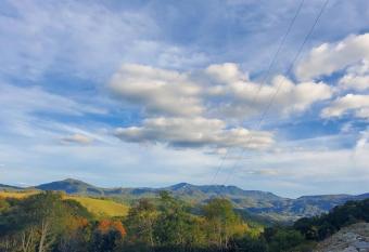 Overlook Lodge has Balcony rooms