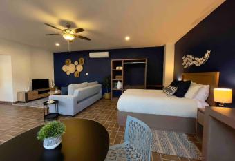 Loft Tortuga - Cozy Elegant Spacious allows 18 year olds to book a room