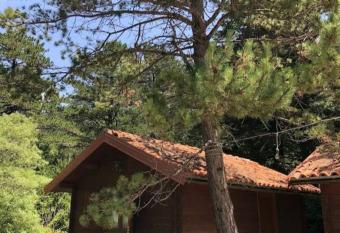 The Old Man s Chalet has Balcony rooms