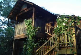 Shadetree has Balcony rooms