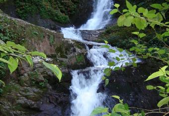 Serra ga  cha, durma ouvindo a cachoeira! has rooms with a private hot tub