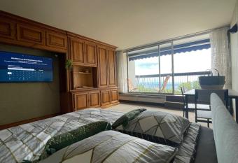 LE PANORAMA studio priv   avec vue magnifique TURCKHEIM TROIS   PIS has Balcony rooms