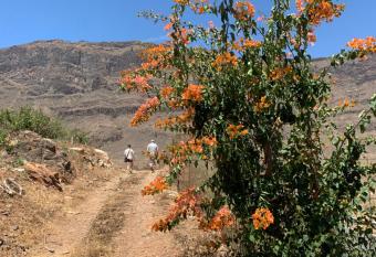 Hotel Masai Mara Resort Gran Canaria has Balcony rooms