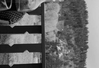 Quality Inn & Suites allows 18 year olds to book a room