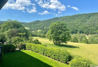 Sch  ne Aussicht! allows 18 year olds to book a room